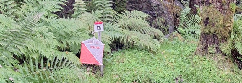 Image for 19.08 TRENINGSLØP NYSETERVEIEN / KÅRVÅG