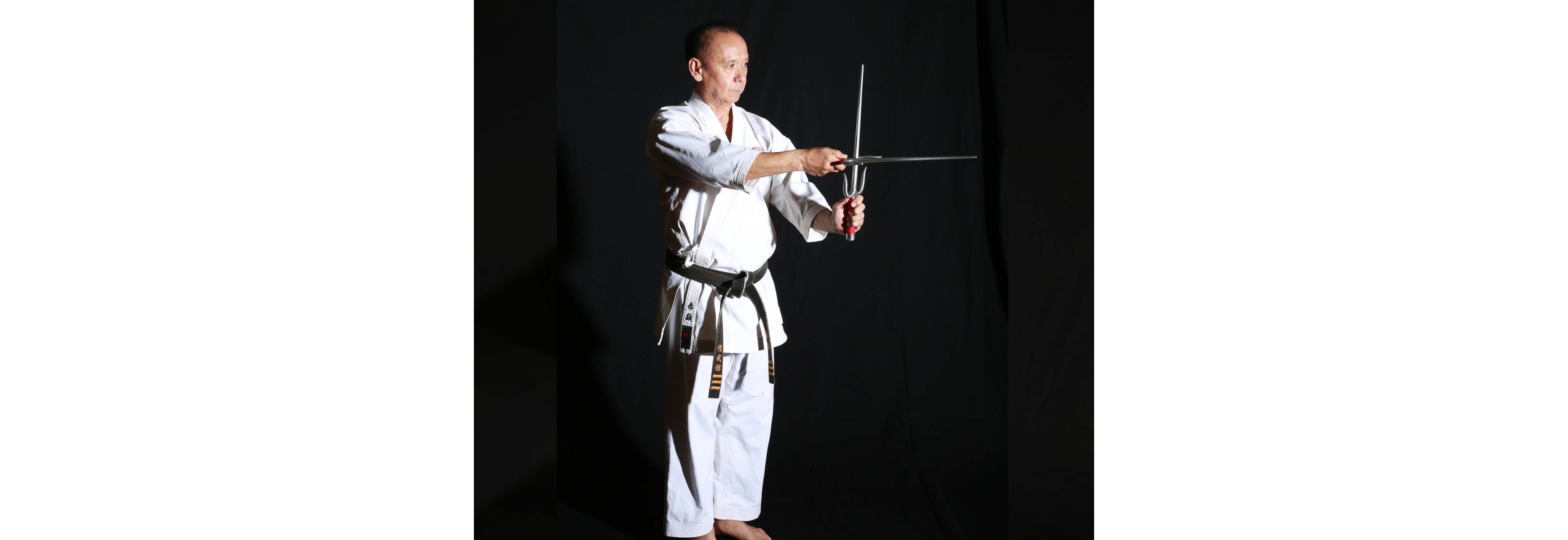 10th DOJO ANNIVERSARY OF JUNDOKAN SCHWECHAT & SHIMBUKAN AUSTRIA-RYUKYU KOBUDO SCHWECHAT