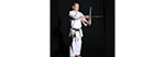 10th DOJO ANNIVERSARY OF JUNDOKAN SCHWECHAT & SHIMBUKAN AUSTRIA-RYUKYU KOBUDO SCHWECHAT