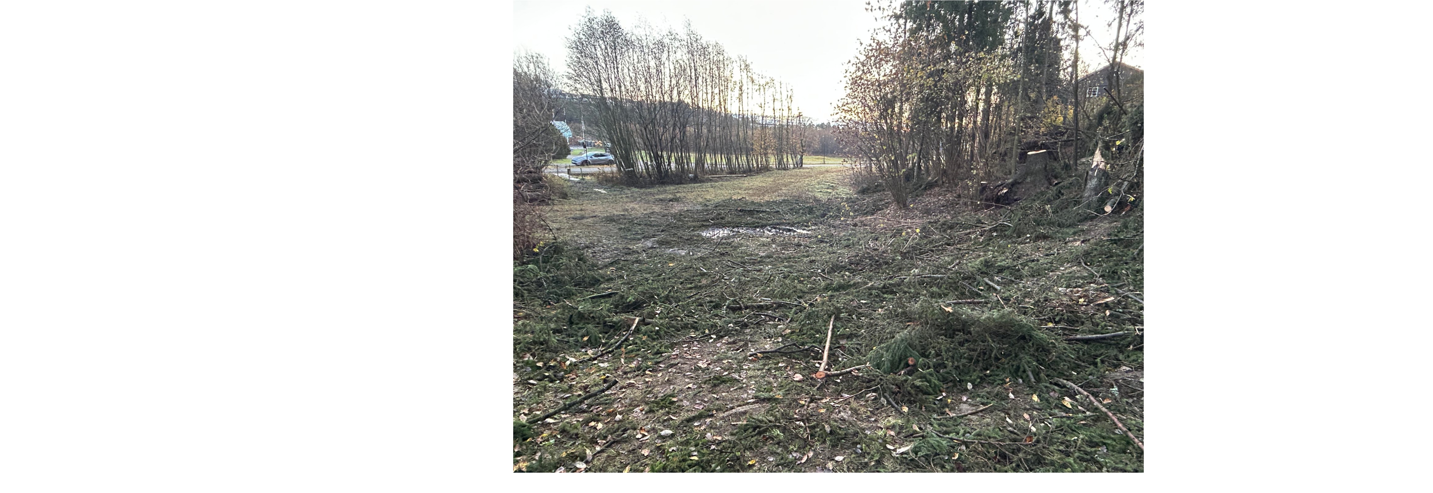 Dugnad - rydding av kvist Heistad