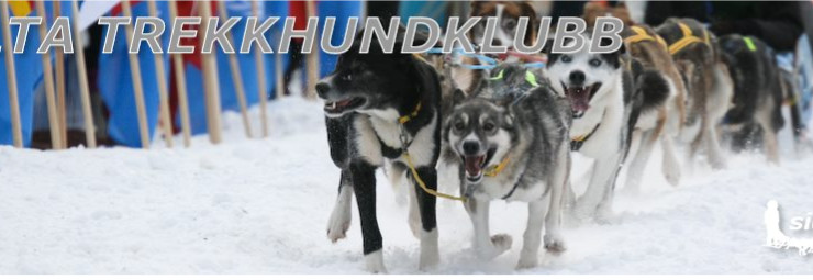 Barnas Finnmarksløp 2026