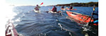 Aktivitetsleder i havpadling