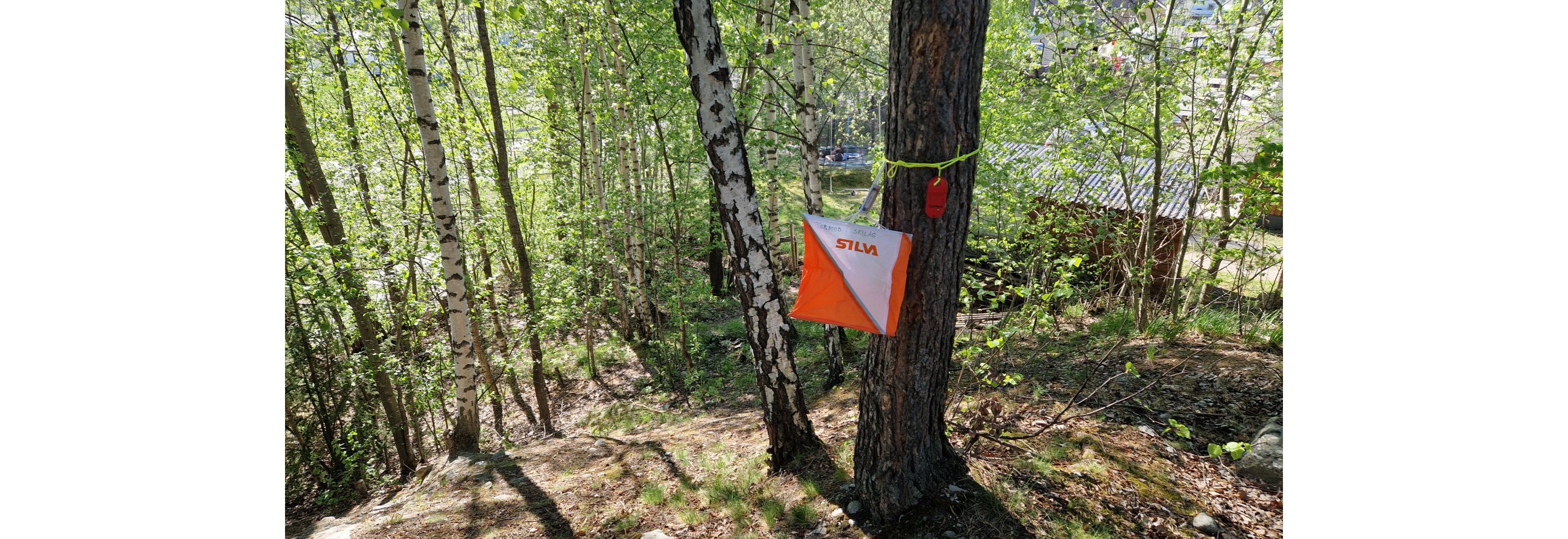 Oløp i Hardvollsmorka