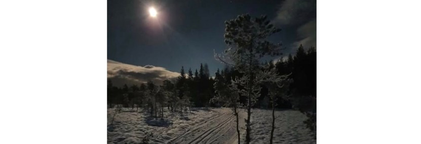 Måneskinnstur til Steinby på fredag!