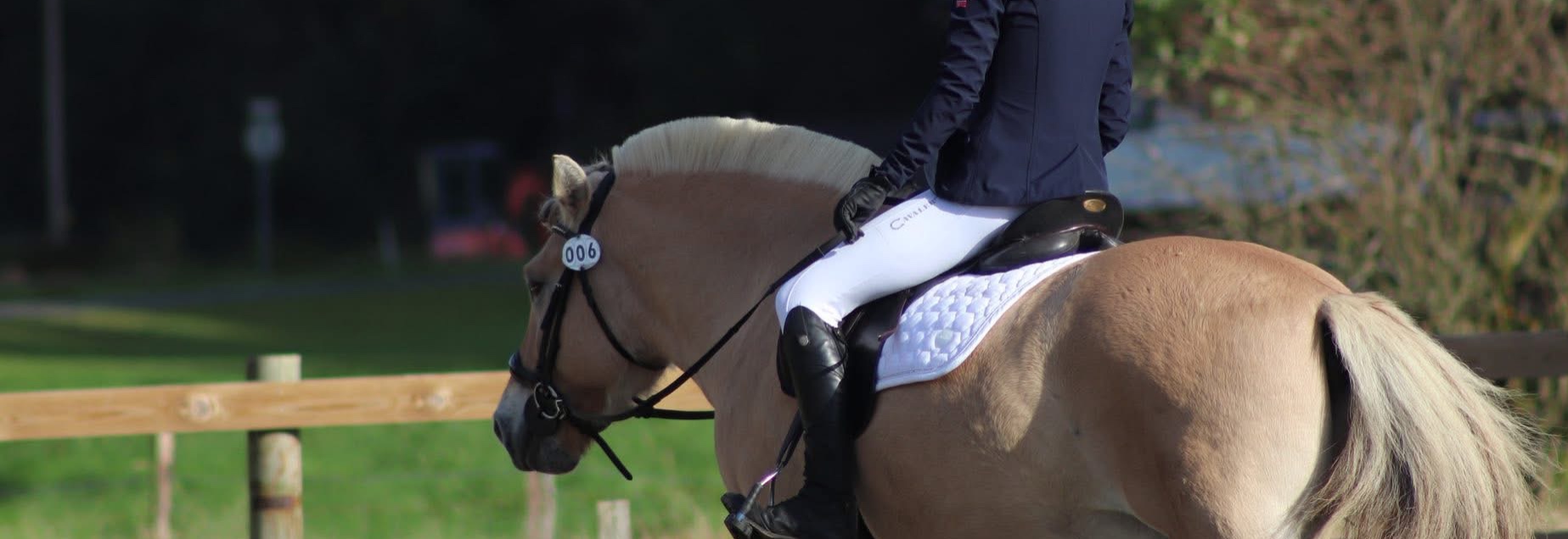 Klubbmesterskap - Dressur & Gymkhana