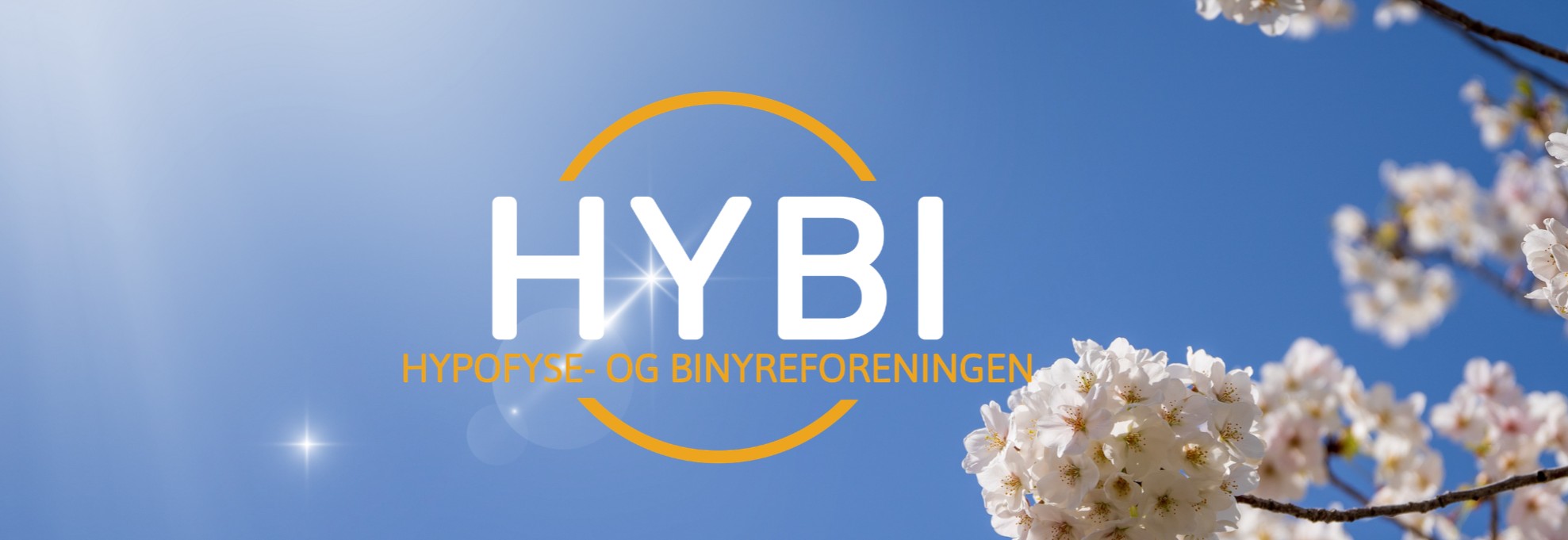 Pensjonistkaffe på Røft