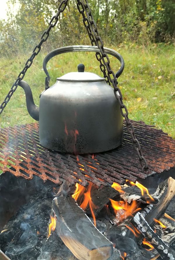 Image for Tur til lavvoen
