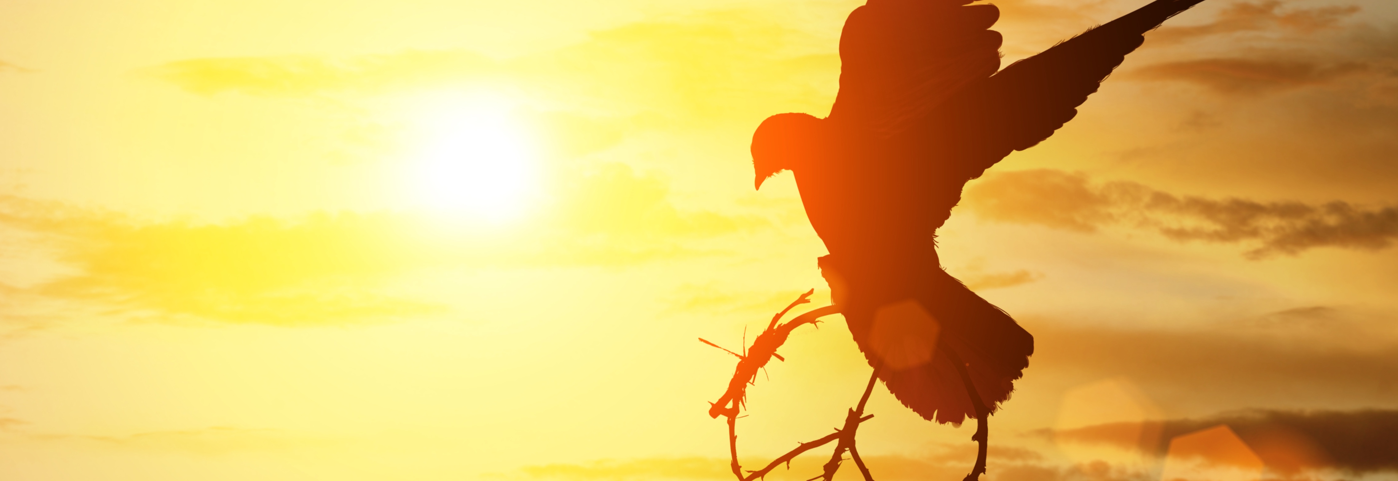 Velkommen til Fredsmeditasjon på Zoom