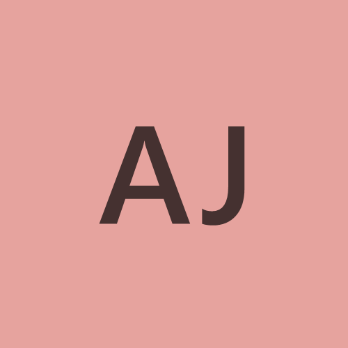 Anine Johnset