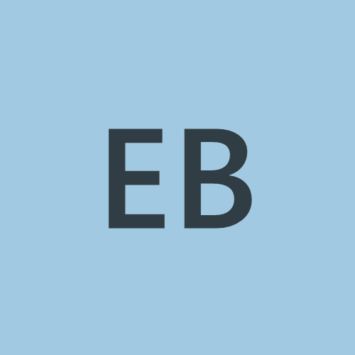Eirik Lorange Brandt