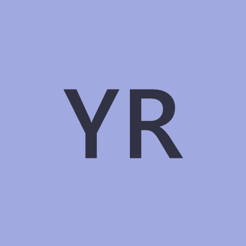 Ylva Holstad Rognerud