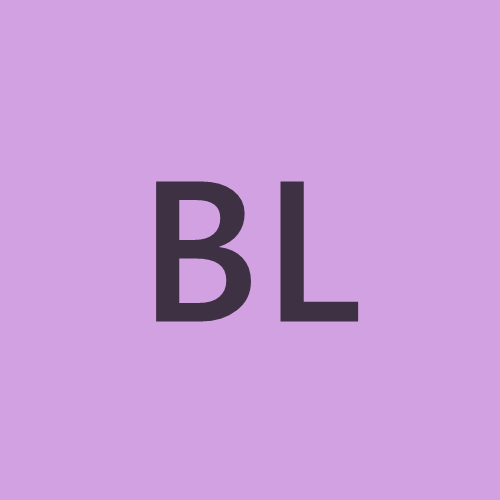 Brage Løvik