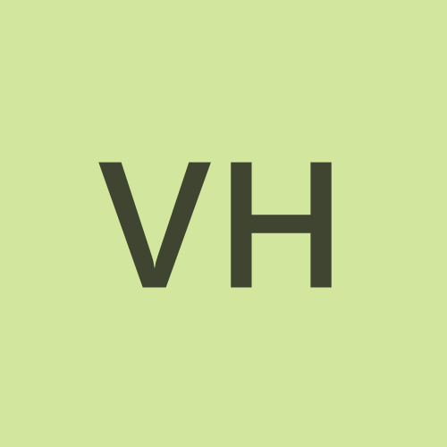 Vivian Iren Hestholm