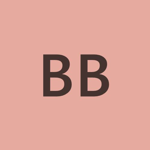 Birgit Bjerke