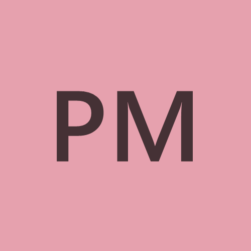 Pål Michelson