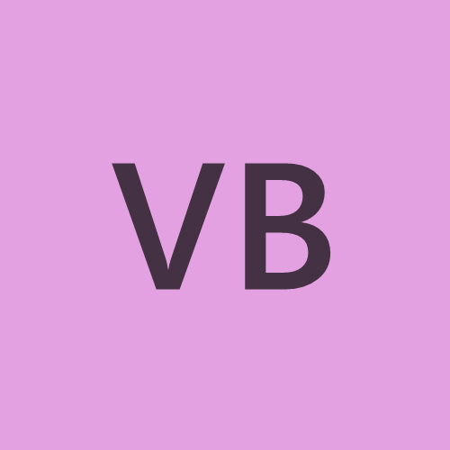 Vebjørn Høyland Borgnes