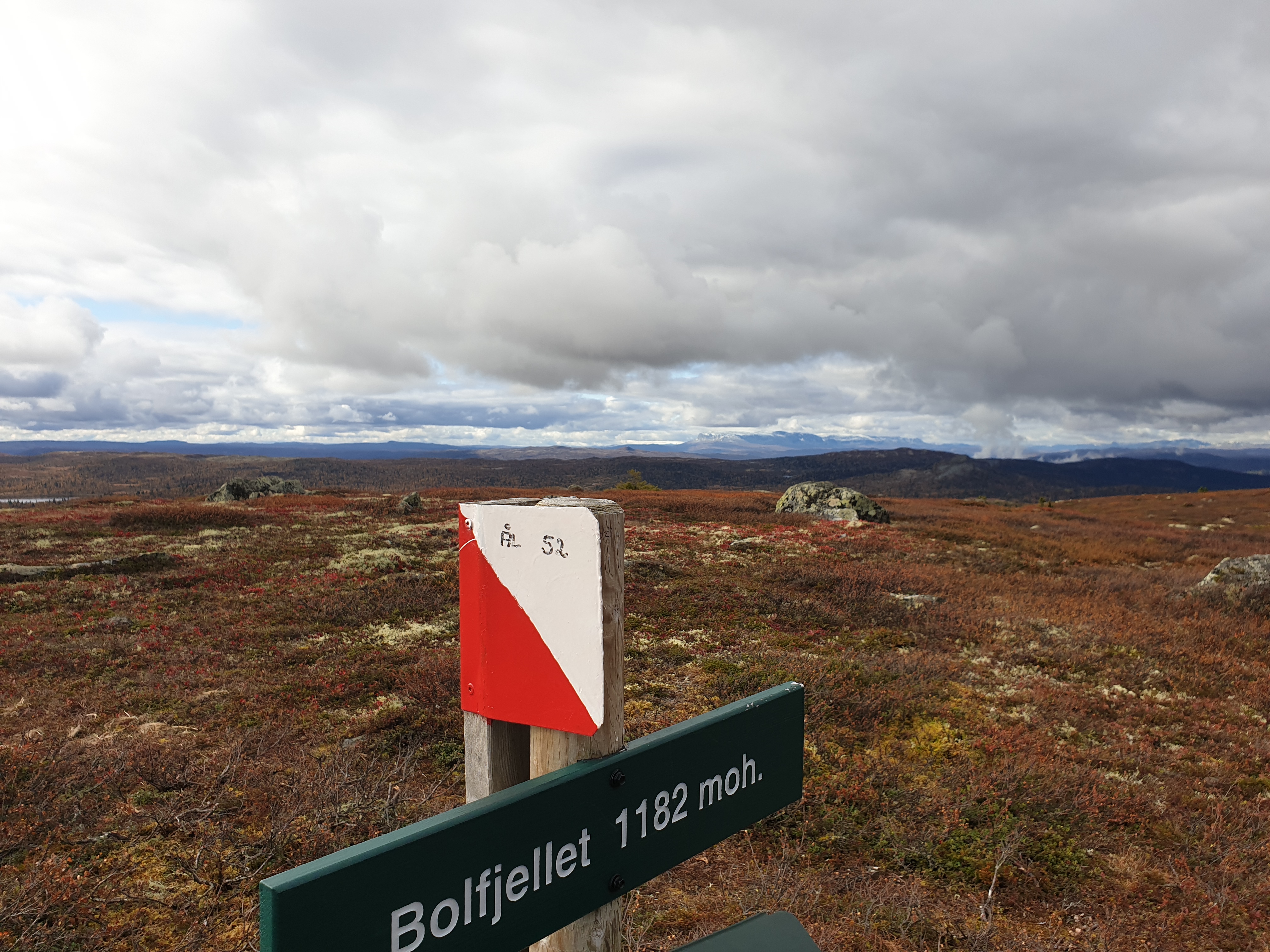 Ål Idrettslag