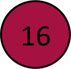 Jenter 16