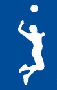 Håndball avd.