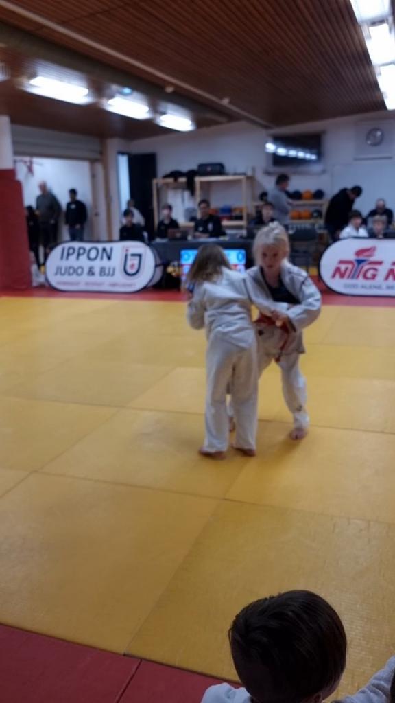 Farida Amin Furehaug