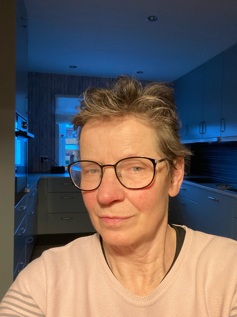 Anne Heien Vigrestad
