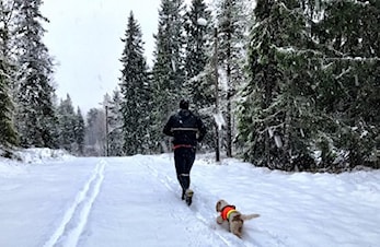 Hvilke faktorer avgjør utholdenheten?