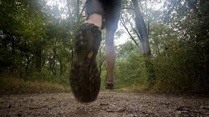 Stamina Årbogenløpet 21. oktober - invitasjon - løypekart - påmelding - resultatliste