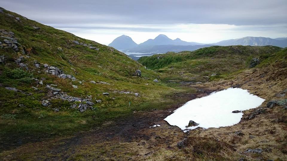 Blåfjelløpet 3.juli