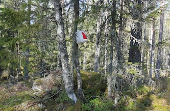 Tur-O - stemningsrapport