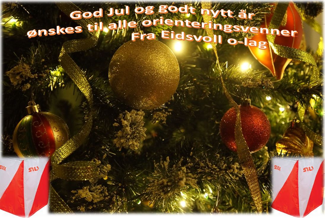 God jul og godt nytt år!!