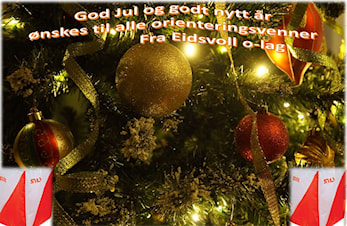 God jul og godt nytt år!!