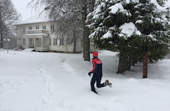 Orienteringstrening i vinterland