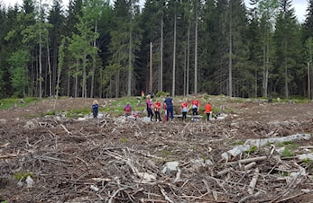 Rekruttrening nr 5 2017 - Stjerneorientering