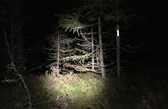 Oppsummering årets nattkarusell