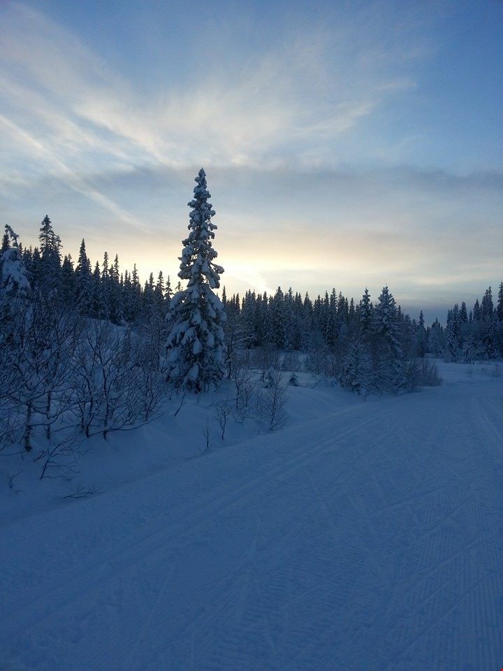 Seier til Ane Fremo