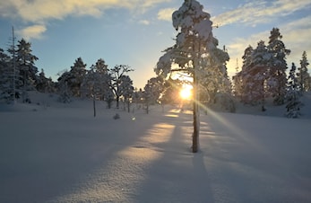 Fantastiske forhold på Kregneskjølen