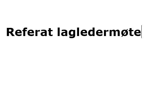 Referat lagledermøte