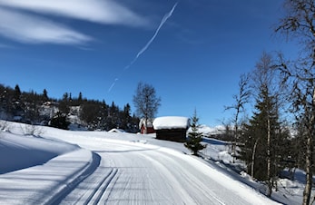 Skiløyper i påska