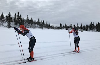 Showrennet/Gaurhovdrennet