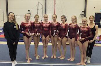 Flott sesongavslutning med medaljefangst for Moss turns gymnaster.