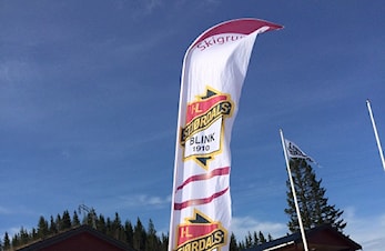 Årsmøte 2015