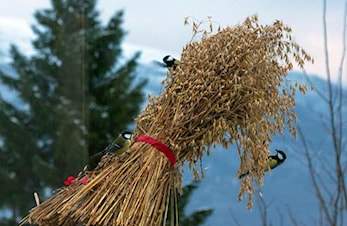 O-gruppa selger kornband
