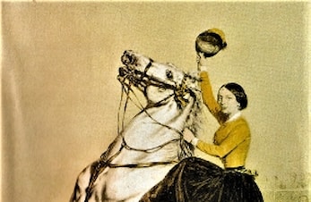 Nordisk Mesterskap sprangridning - Linnesvolden 1981