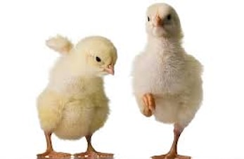 Treningstider i påsken 2016