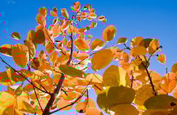 Trening i høstferien