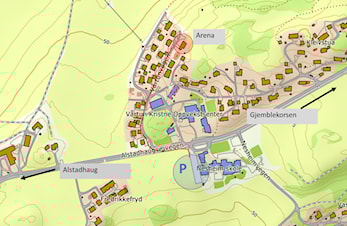 Treningsløp - Skøynarkarusell 2. mai på Levangernesset