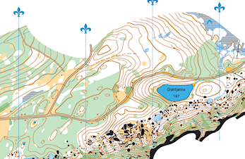 Treningsløp på Verdal 27. juni