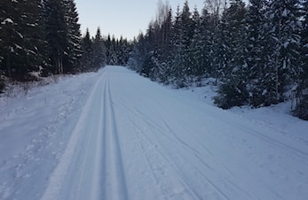 Skiføre på Hallemsvollen