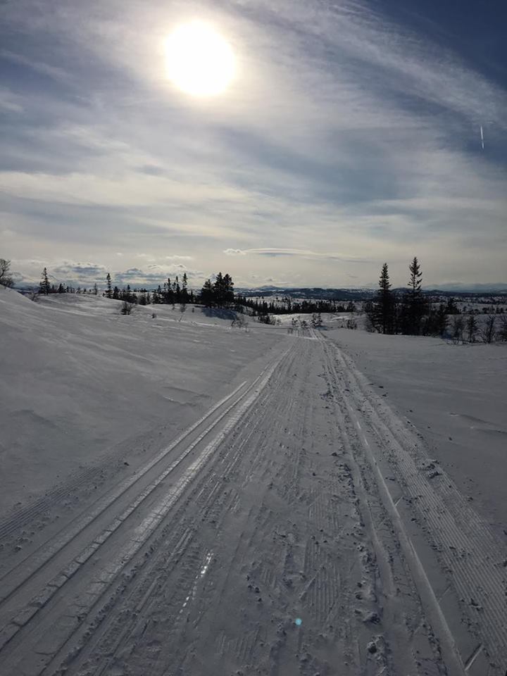Seterrennet 2016 i strålende sol og silkeføre!