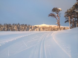 Sigurd Fremos Minneløp søndag 8. januar